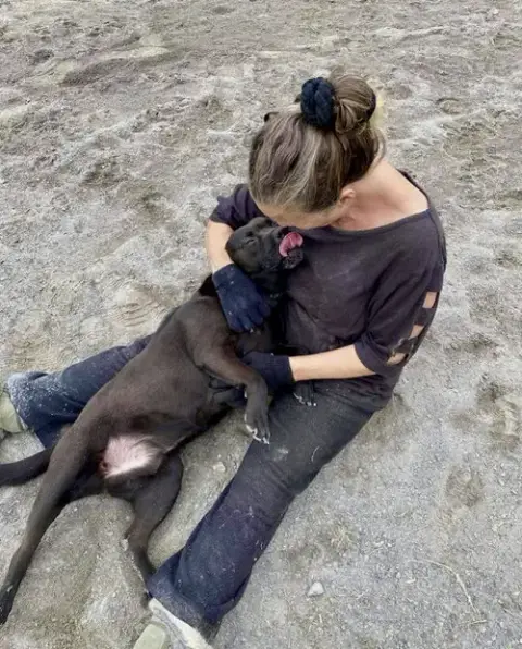 Tyson photo 4