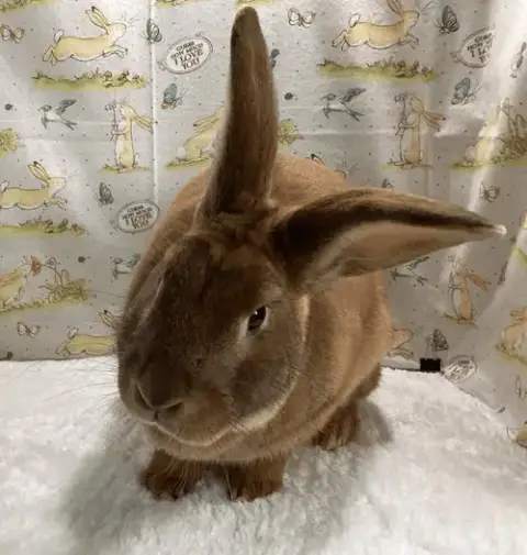 Tom