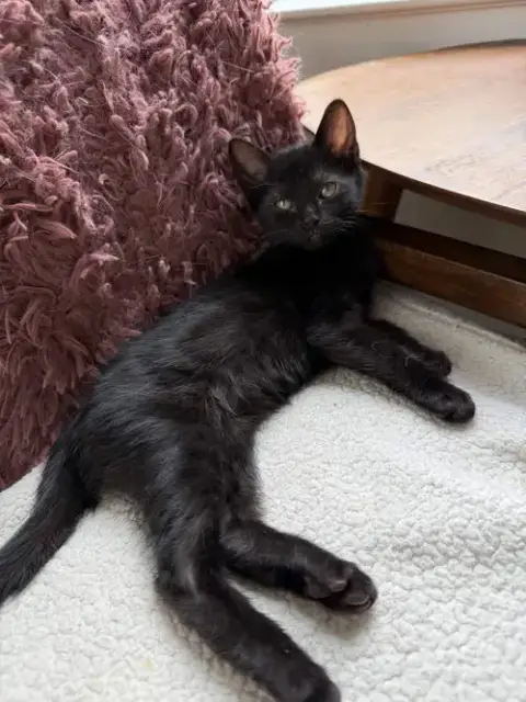 Murphy photo 2