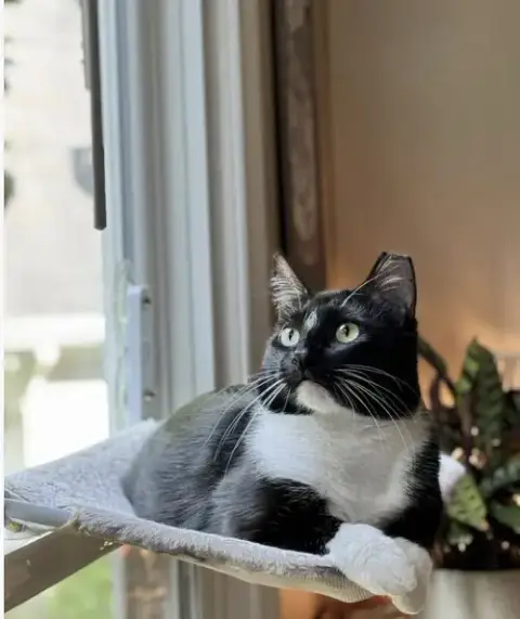 Benny