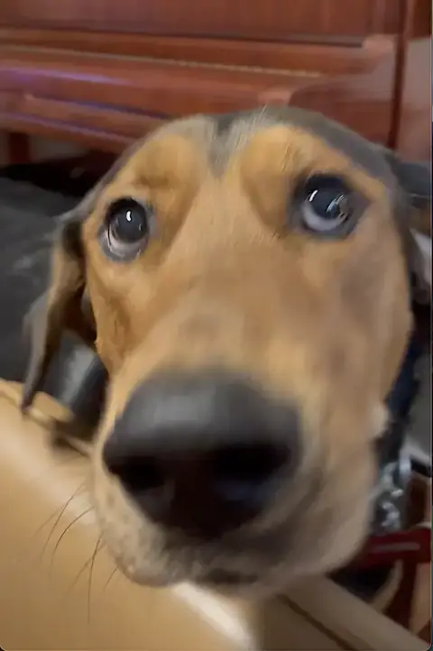 Mocha photo 2