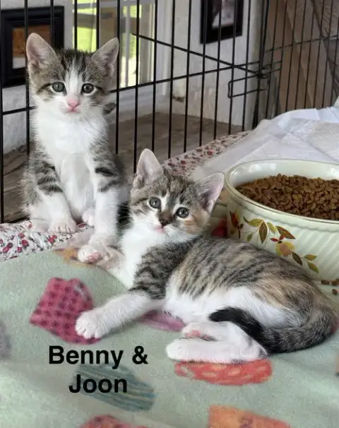 Benny
