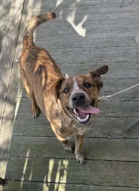 Frankie