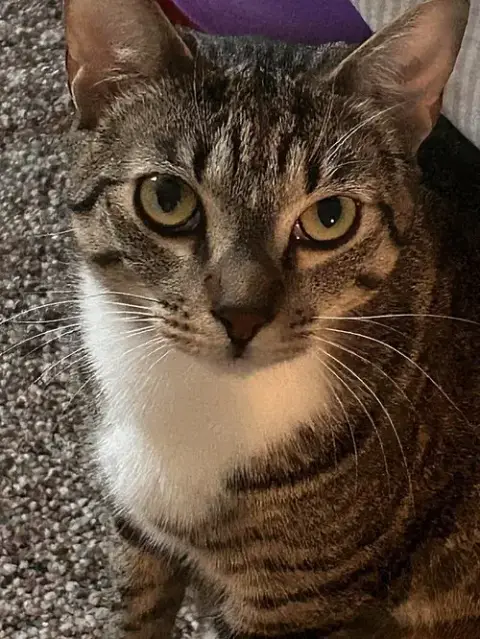 Croixx photo 3