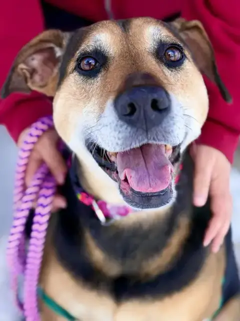Mya photo 2