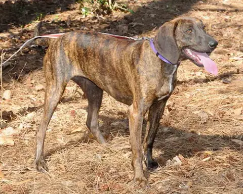Sally photo 3