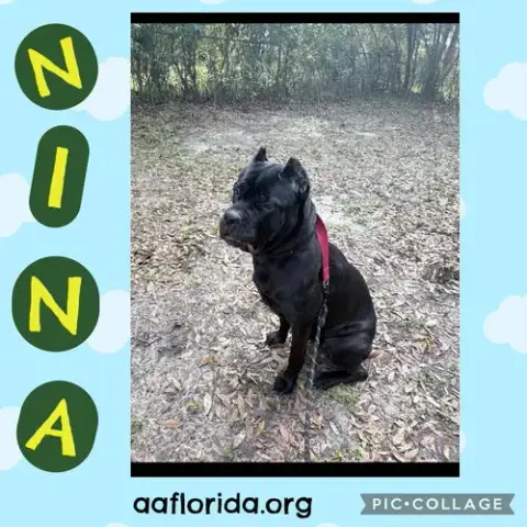 Nina photo 2