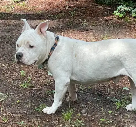 Gunther photo 5