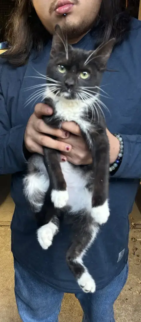 Ha'Lia Napa Petco
