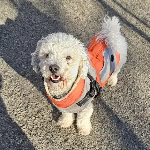 Max photo 5