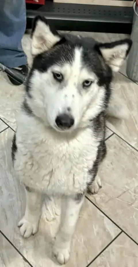 Lucy