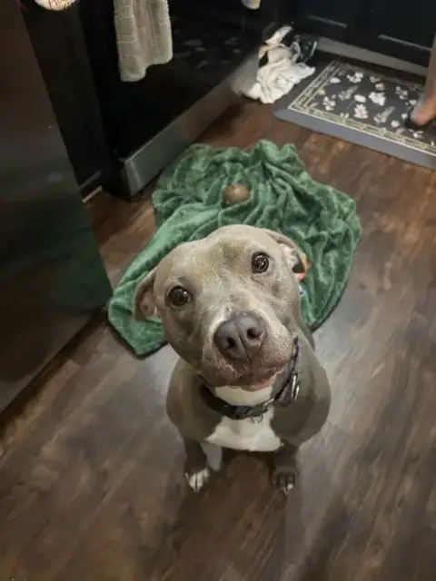 Penny photo 4