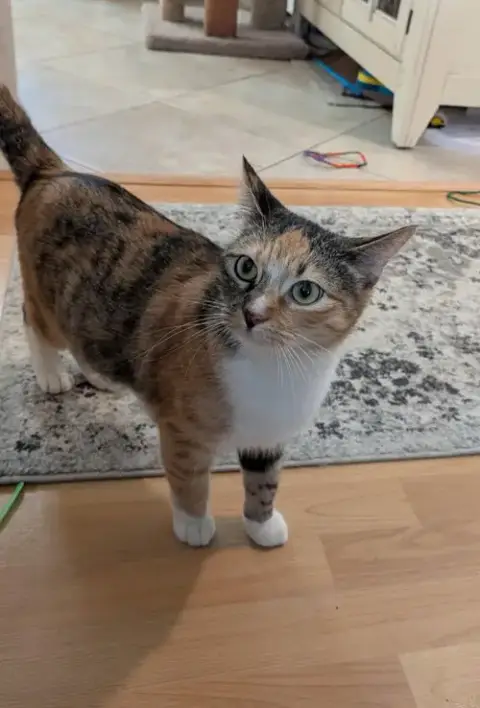 Molly