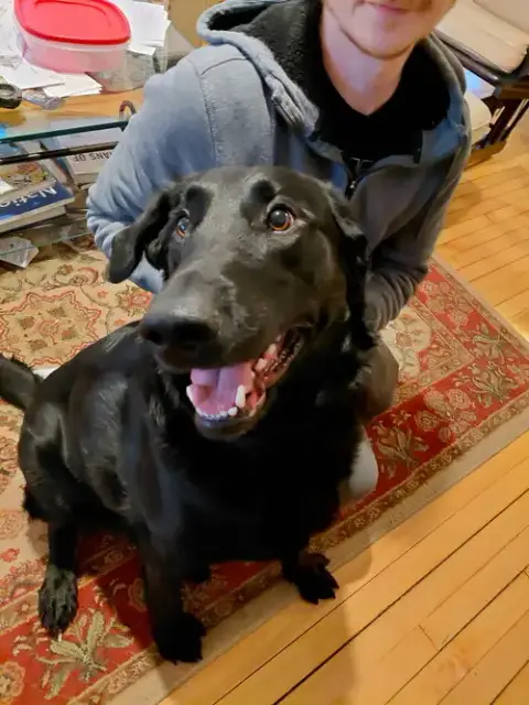 Buddy photo 4