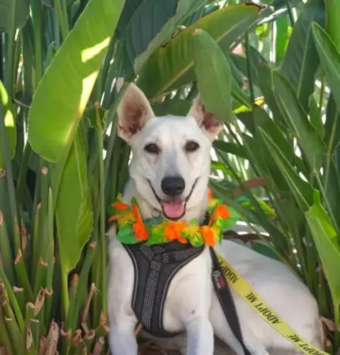 Gracie Mae photo 5
