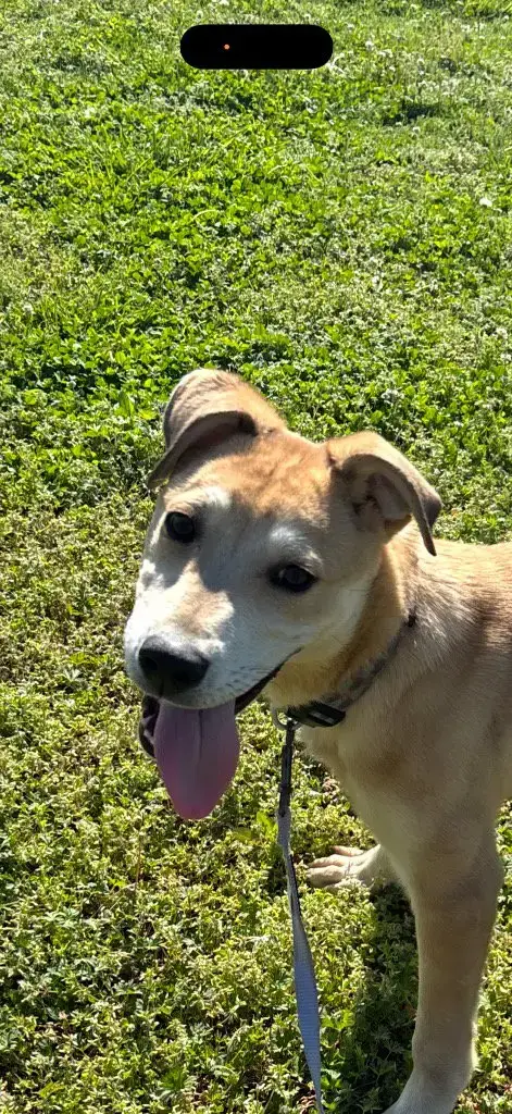 Niko photo 2