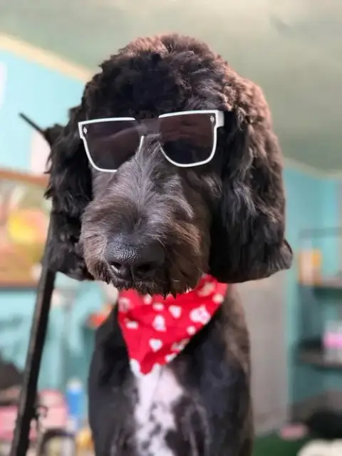 Milo