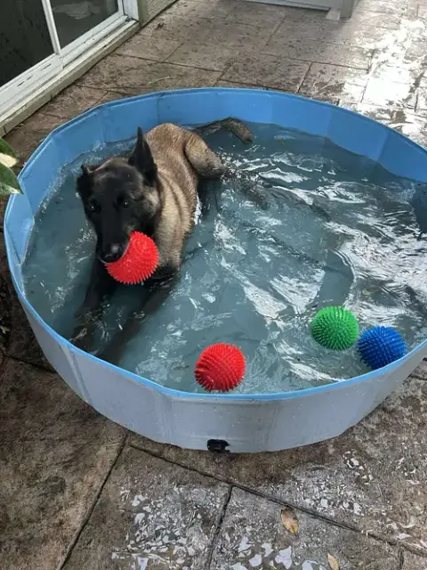 Kona photo 4
