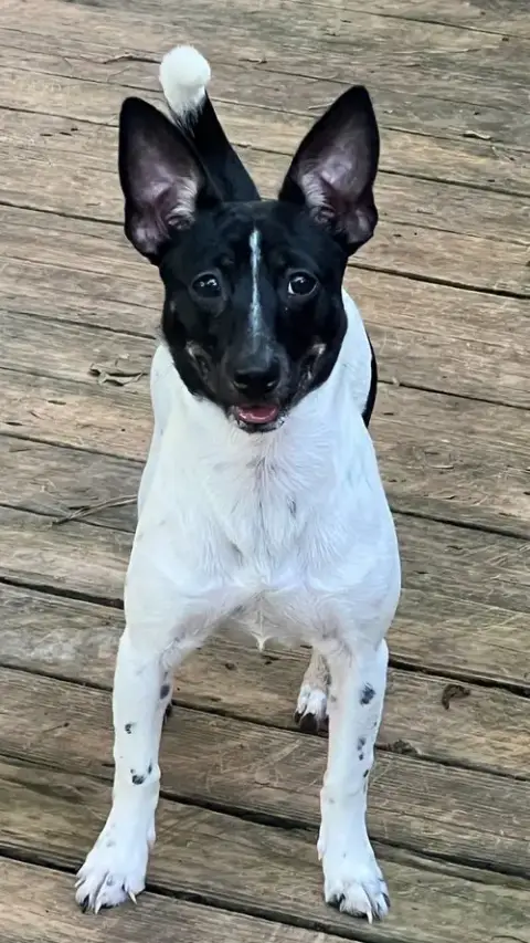 Macy photo 2