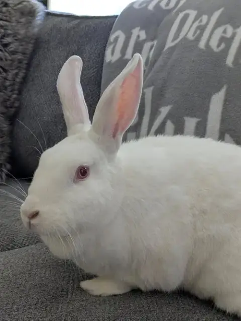 Margot photo 2