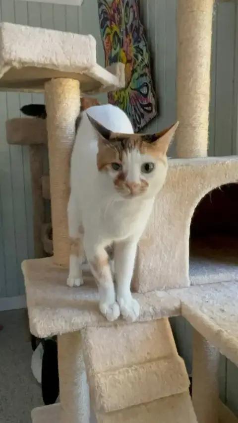 Luna photo 3