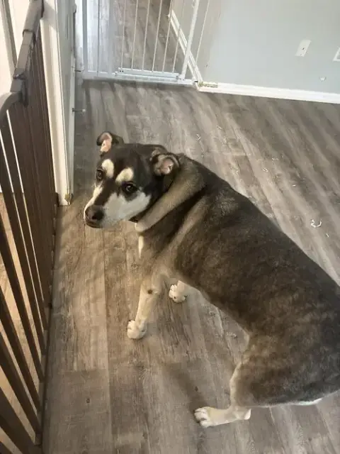 Maverick photo 2