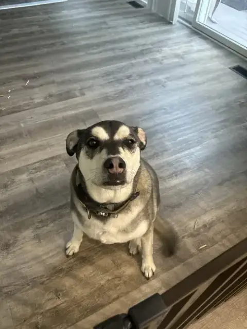 Maverick