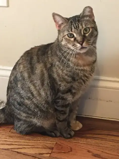 Ella photo 2