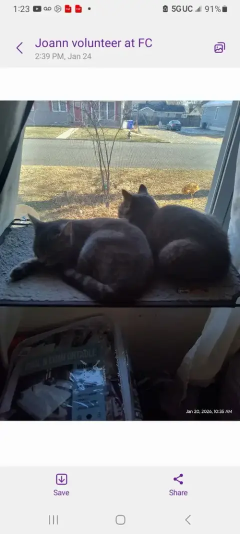 Elvis & Ozzie photo 5