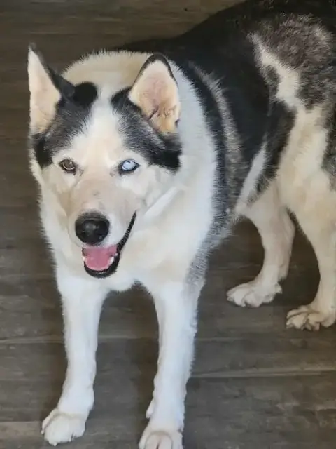 Zeus photo 3