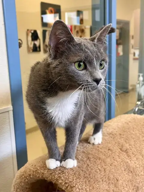 Meep Meep photo 2