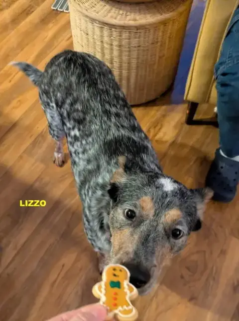 Lizzo photo 4