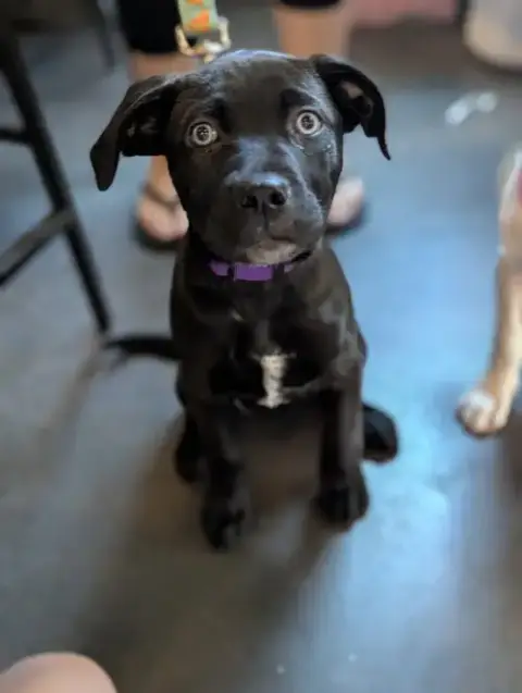 Guinness photo 5