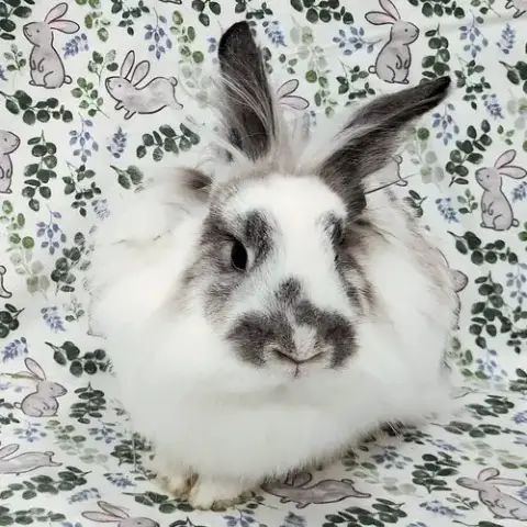 Jimmy photo 2