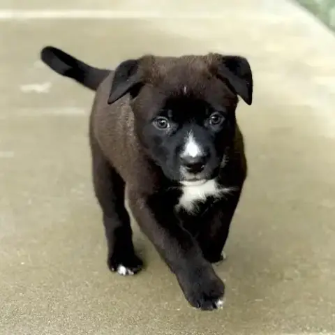 Marcy photo 3