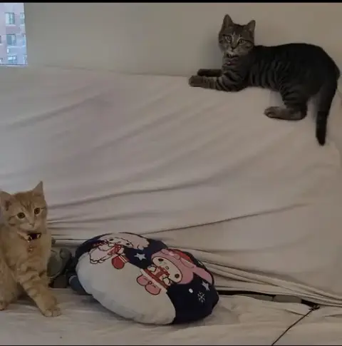 Thor And Loki photo 3