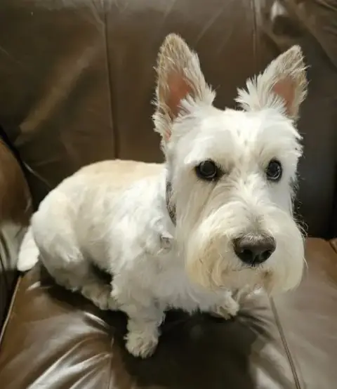 Finley photo 3