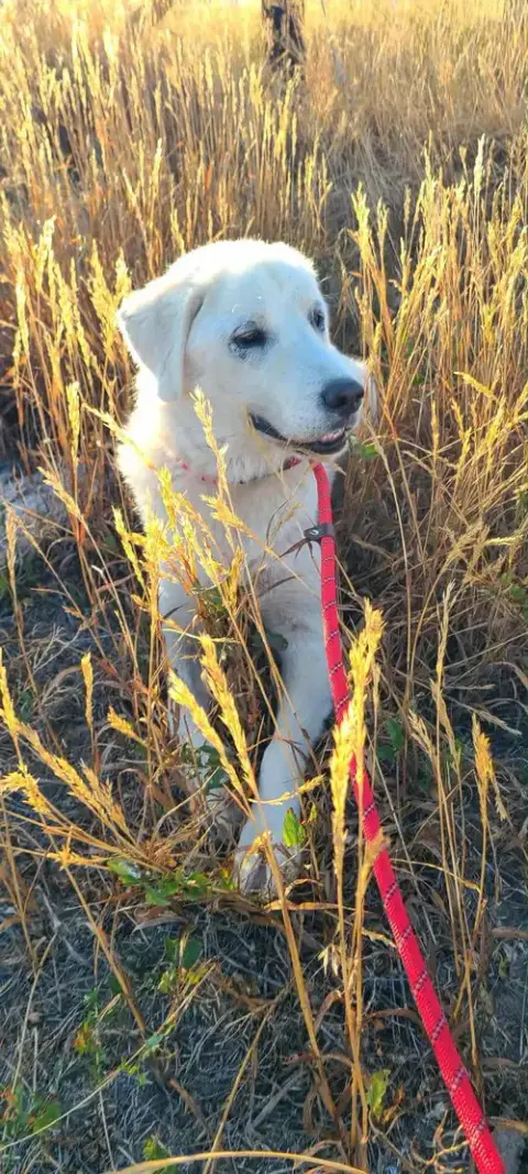 Coco photo 2