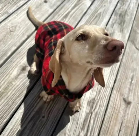 Luna In Ky photo 3