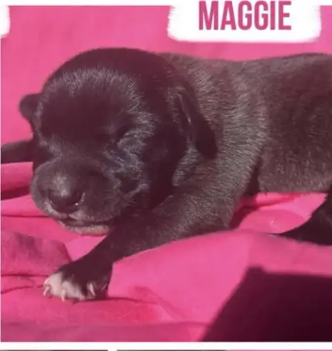 Maddie photo 2