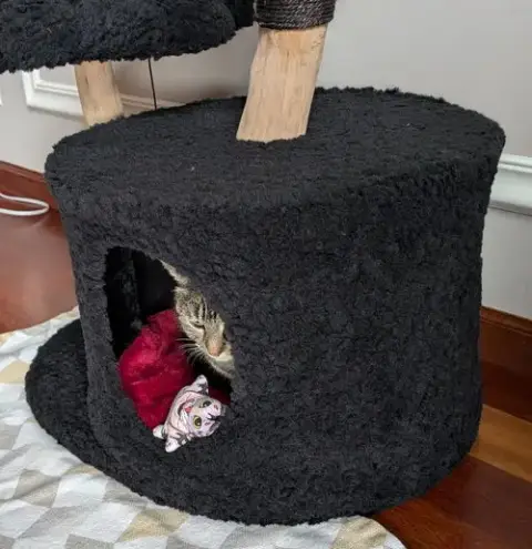 Miss Tilly photo 3