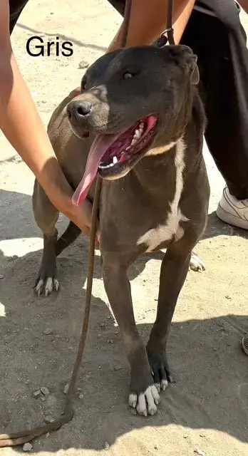Griselda photo 2