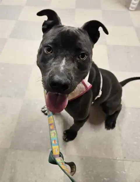 Luna