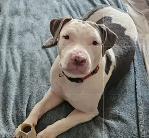 Ellie photo 2