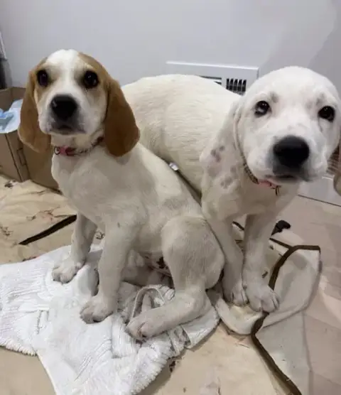 Baby Sadie photo 4
