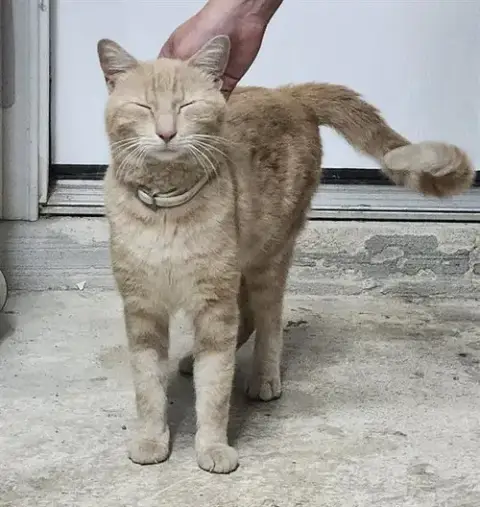 Kevin