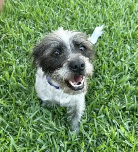 Missy photo 2