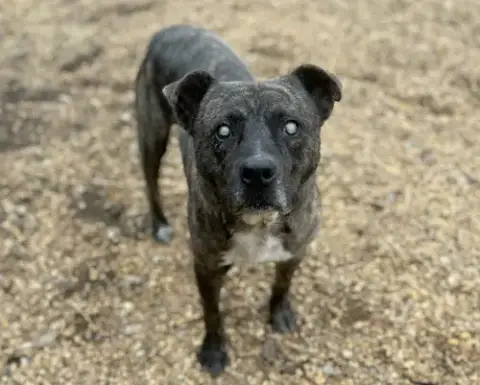 Winston photo 2