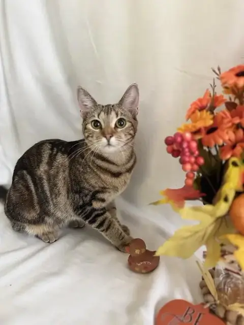 Mamas photo 2