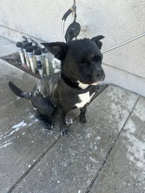 Kiki photo 3